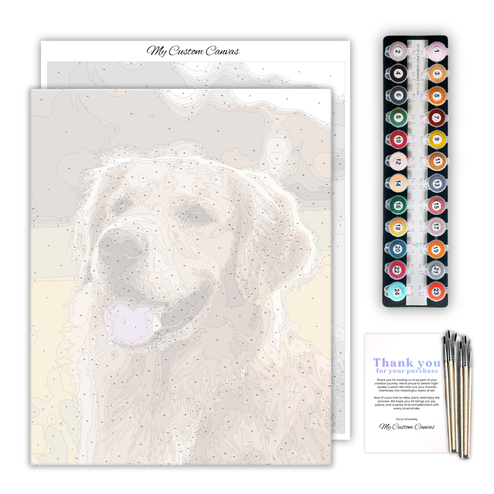 Custom Paint by Numbers Kit